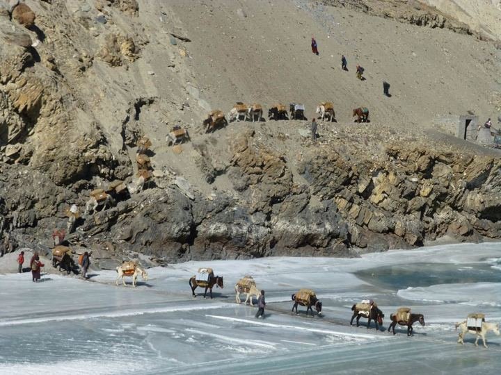 Pony caravan crossing the frozen Zanskar river